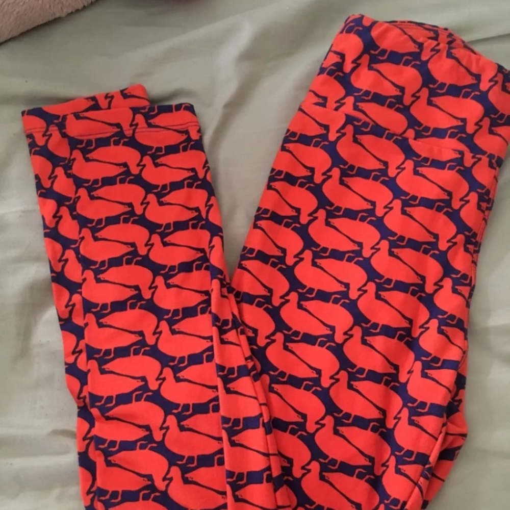 Lularoe os Duck Leggings